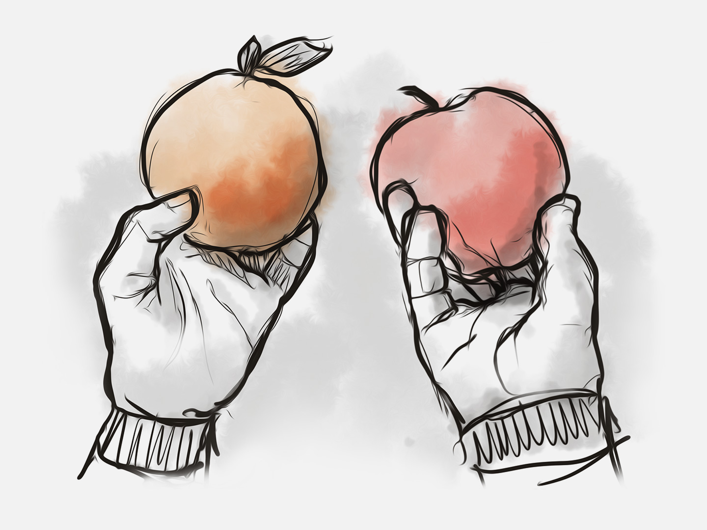 Apple & Oranges
